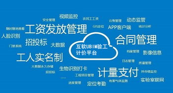 上海互聯(lián)網(wǎng)軟件集團(tuán) 高端協(xié)同管理軟件與企業(yè)管理咨詢服務(wù)提供商